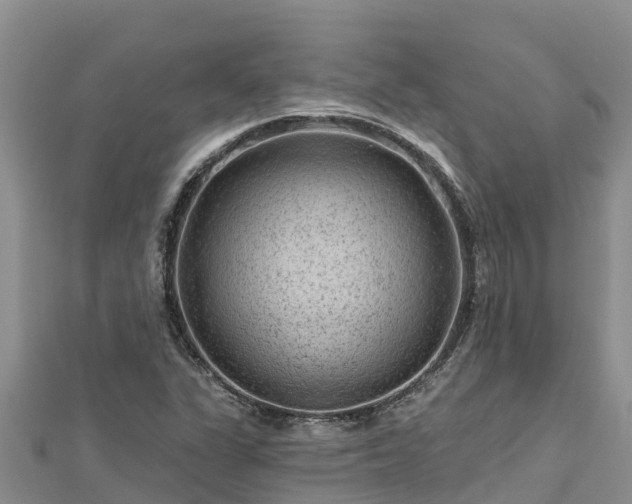X0000112801311200908281520