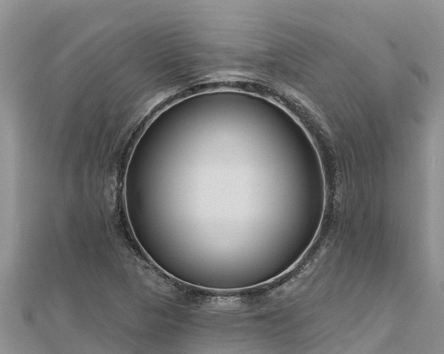 X0000112801313200908281520