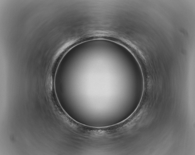 X0000112801317200908281520