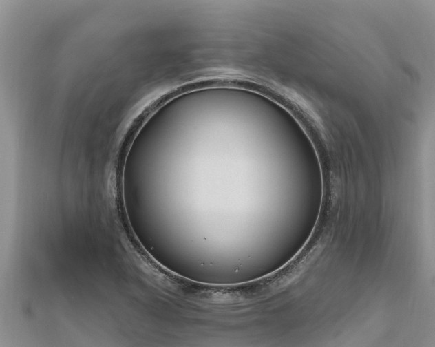 X0000112801318200908281520