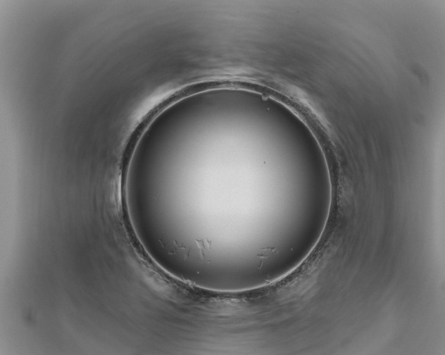 X0000112801320200908281520