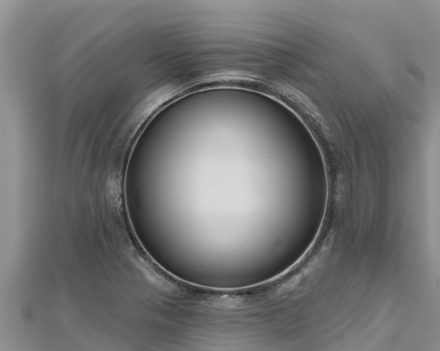 X0000112801321200908281520