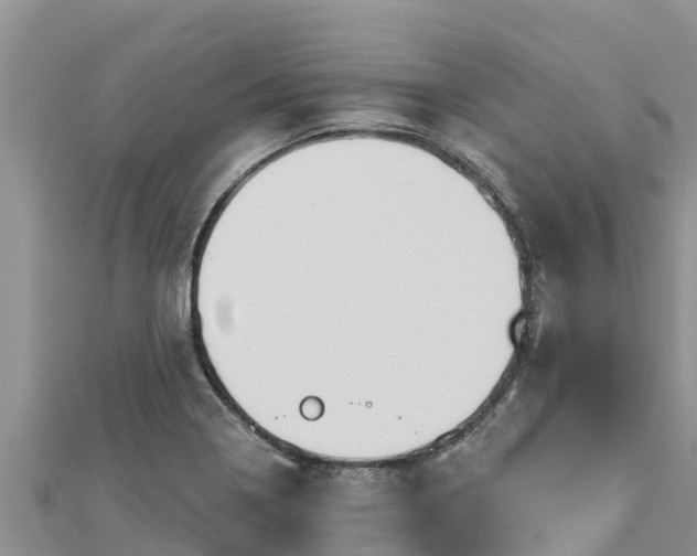 X0000112801322200908281520