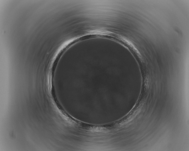 X0000112801323200908281520