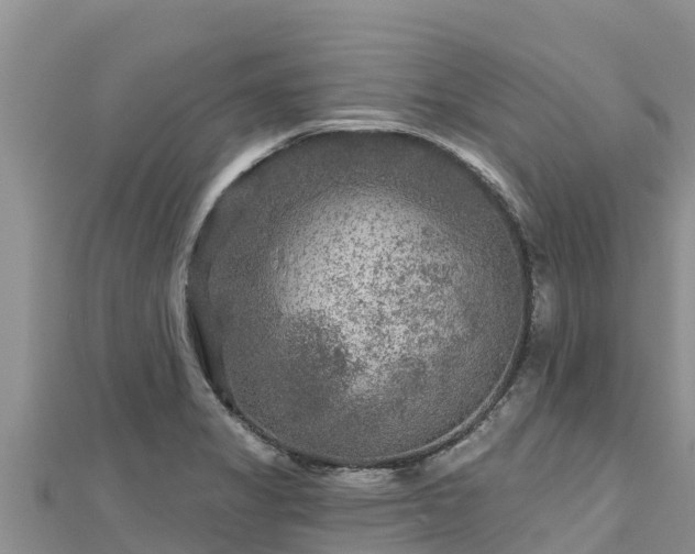 X0000112801325200908281520