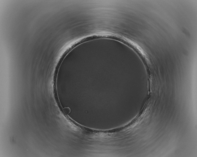 X0000112801327200908281520