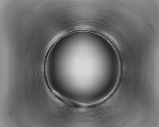 X0000112801330200908281520
