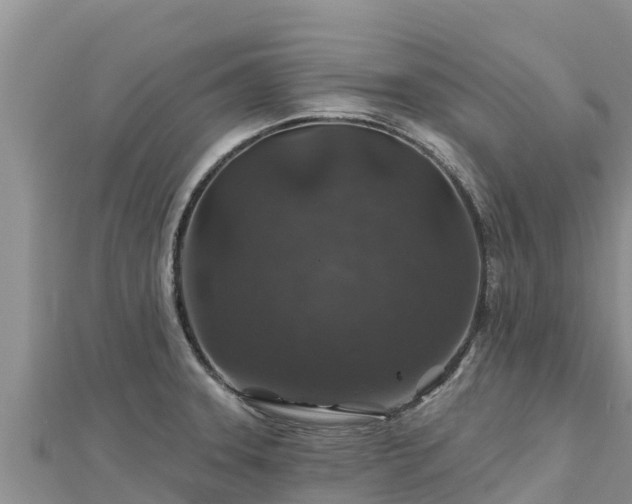 X0000112801331200908281520
