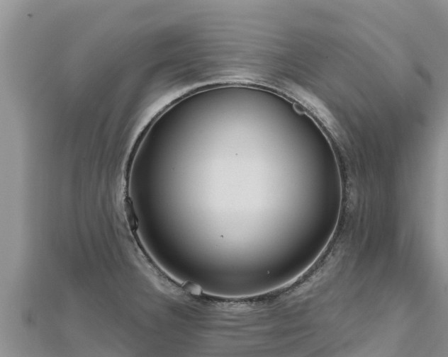 X0000112801332200908281520