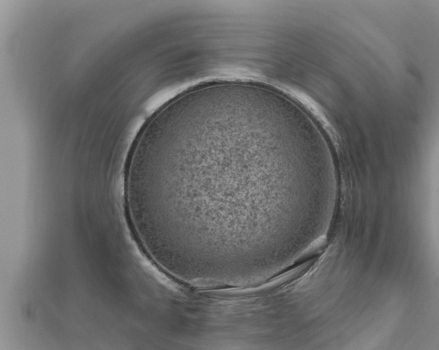 X0000112801335200908281520