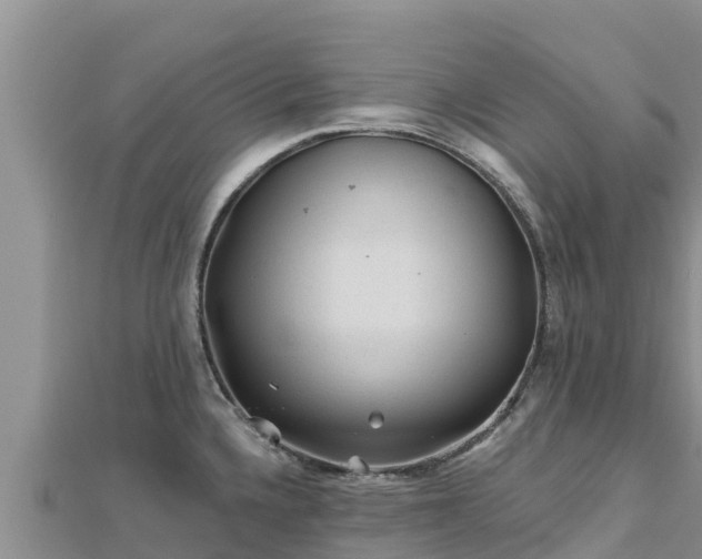 X0000112801336200908281520