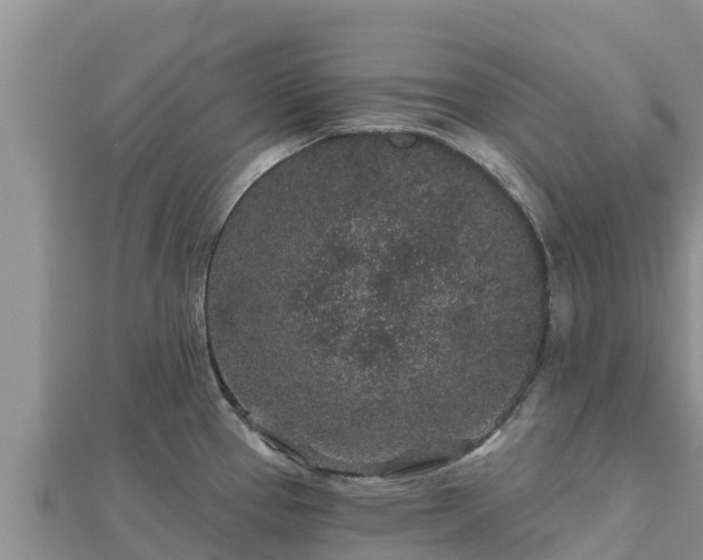 X0000112801337200908281520
