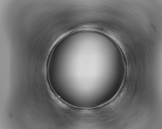 X0000112801341200908281520