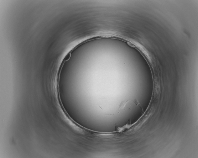X0000112801343200908281520