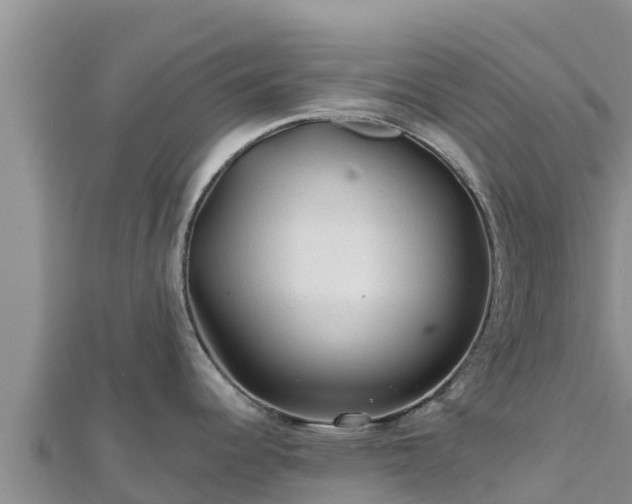 X0000112801344200908281520
