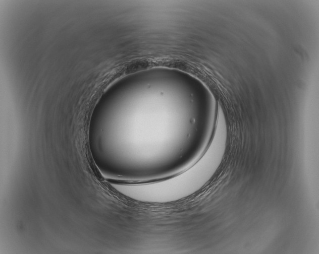X0000112801345200908281520