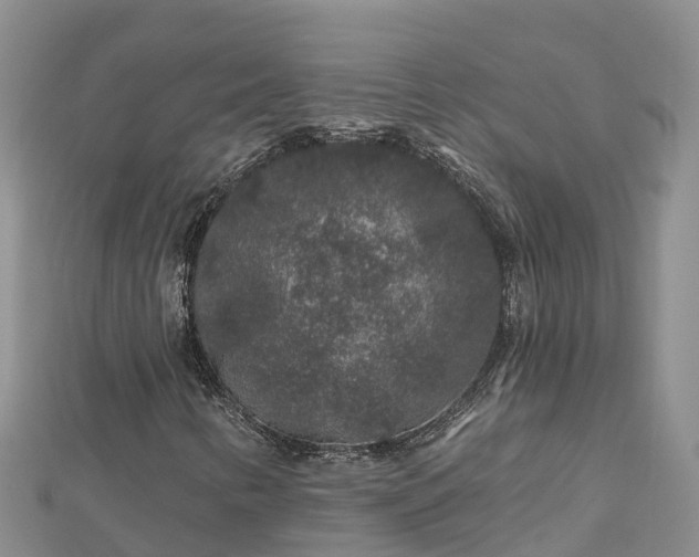 X0000112801346200908281520
