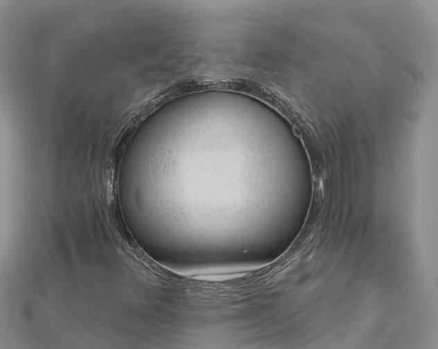 X0000112801348200908281519