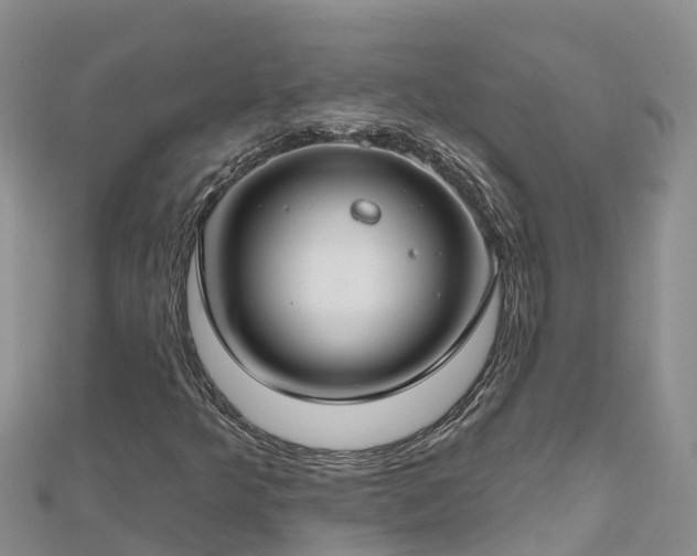 X0000112801349200908281519