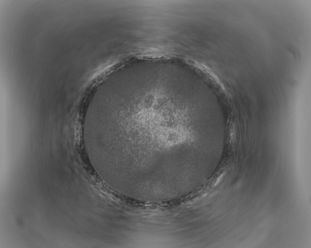X0000112801350200908281519