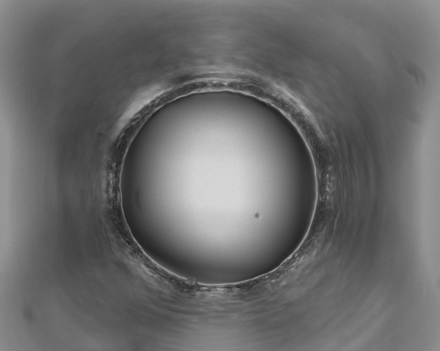 X0000112801352200908281519