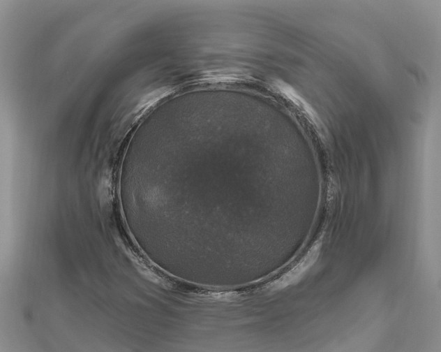 X0000112801353200908281519