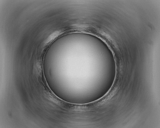 X0000112801354200908281519