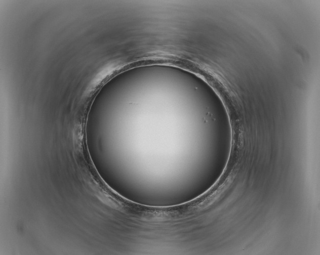 X0000112801355200908281519