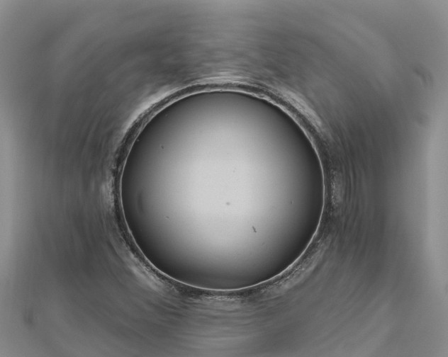 X0000112801356200908281519