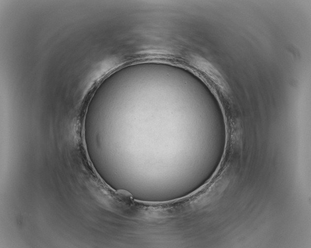 X0000112801357200908281519