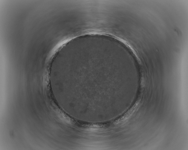 X0000112801359200908281519