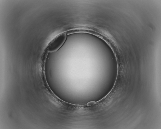 X0000112801360200908281519