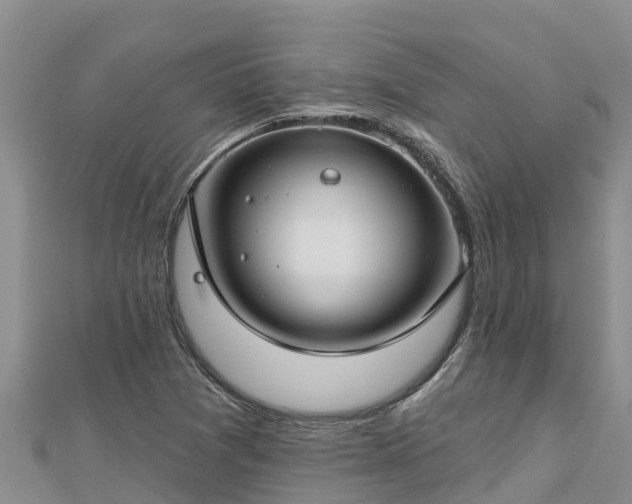 X0000112801361200908281519