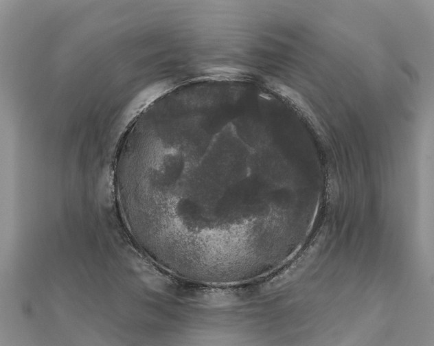 X0000112801362200908281519