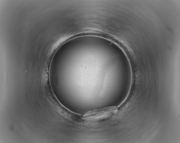X0000112801363200908281519