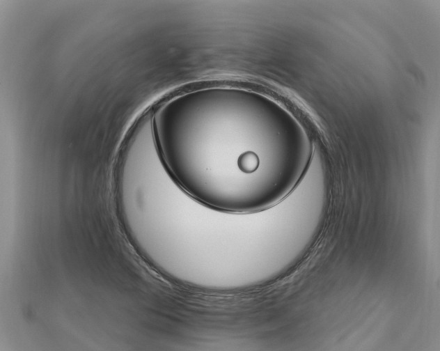 X0000112801364200908281519