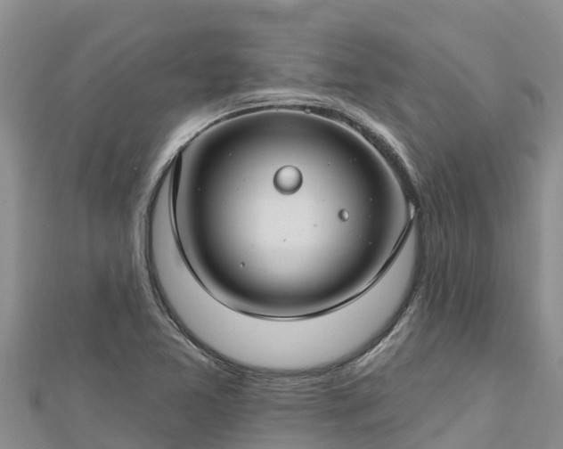 X0000112801365200908281519