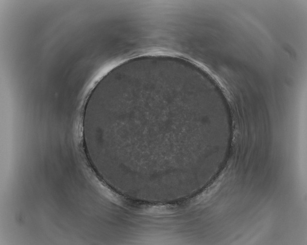 X0000112801367200908281519