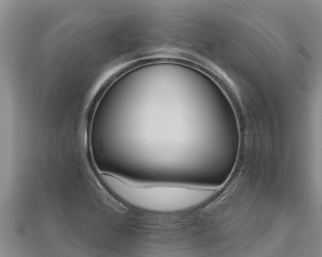 X0000112801368200908281519