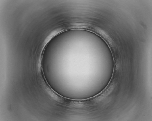 X0000112801370200908281519