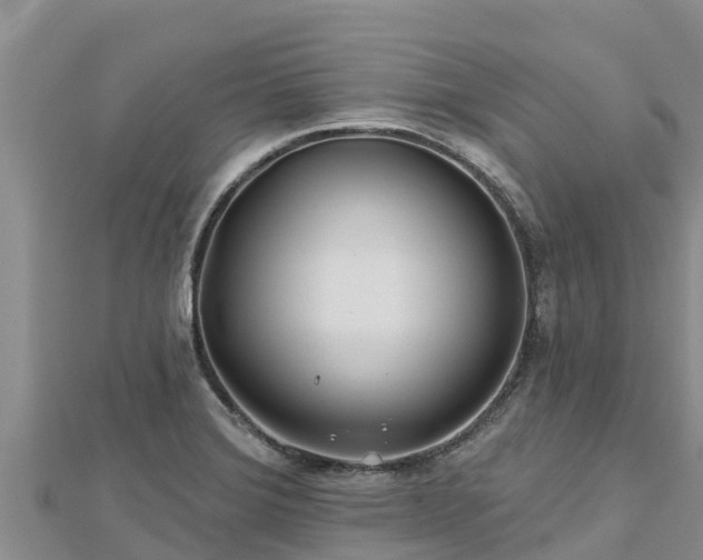 X0000112801372200908281519