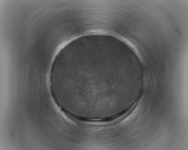 X0000112801373200908281519