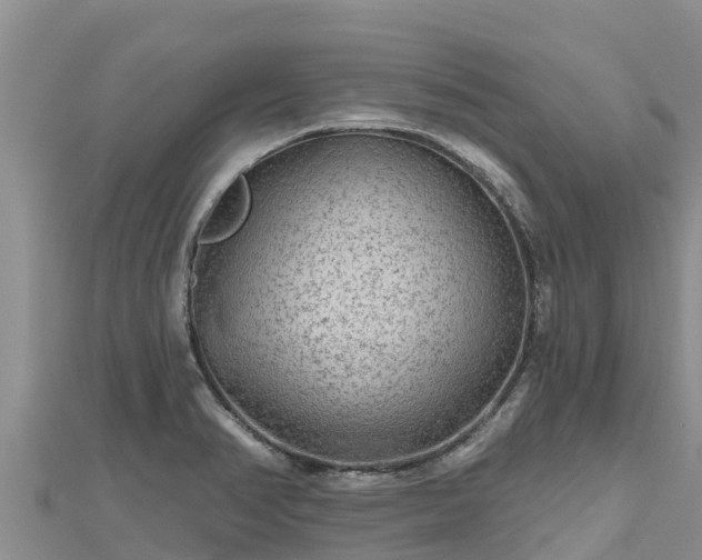 X0000112801374200908281519