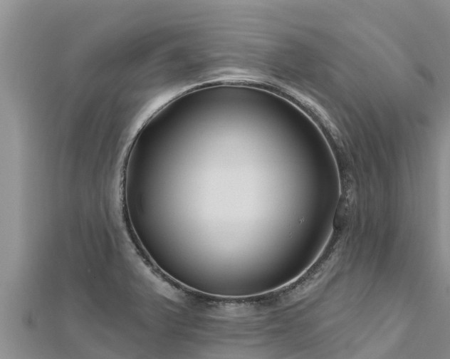 X0000112801375200908281519