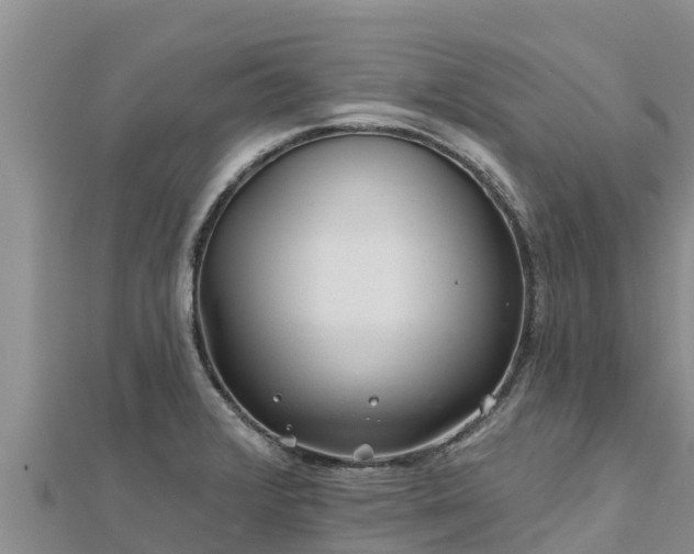 X0000112801376200908281519