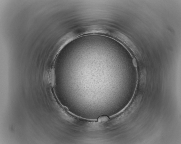 X0000112801377200908281519