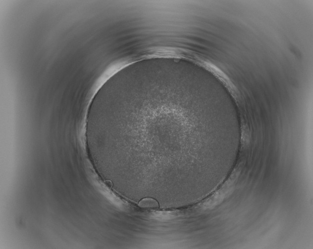X0000112801378200908281519