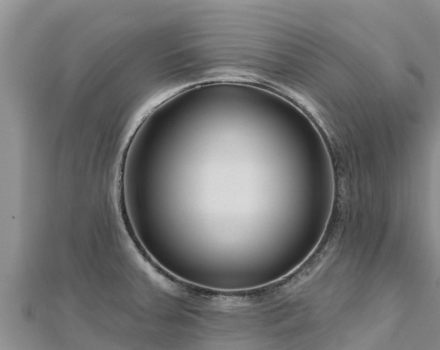 X0000112801379200908281519