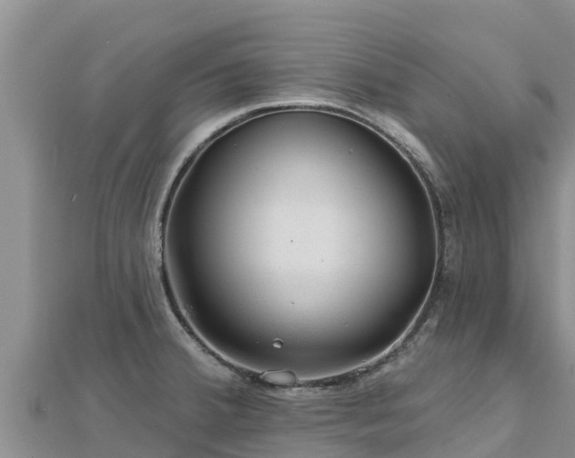X0000112801380200908281519