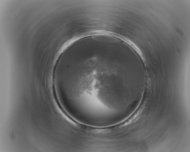 X0000112801381200908281519
